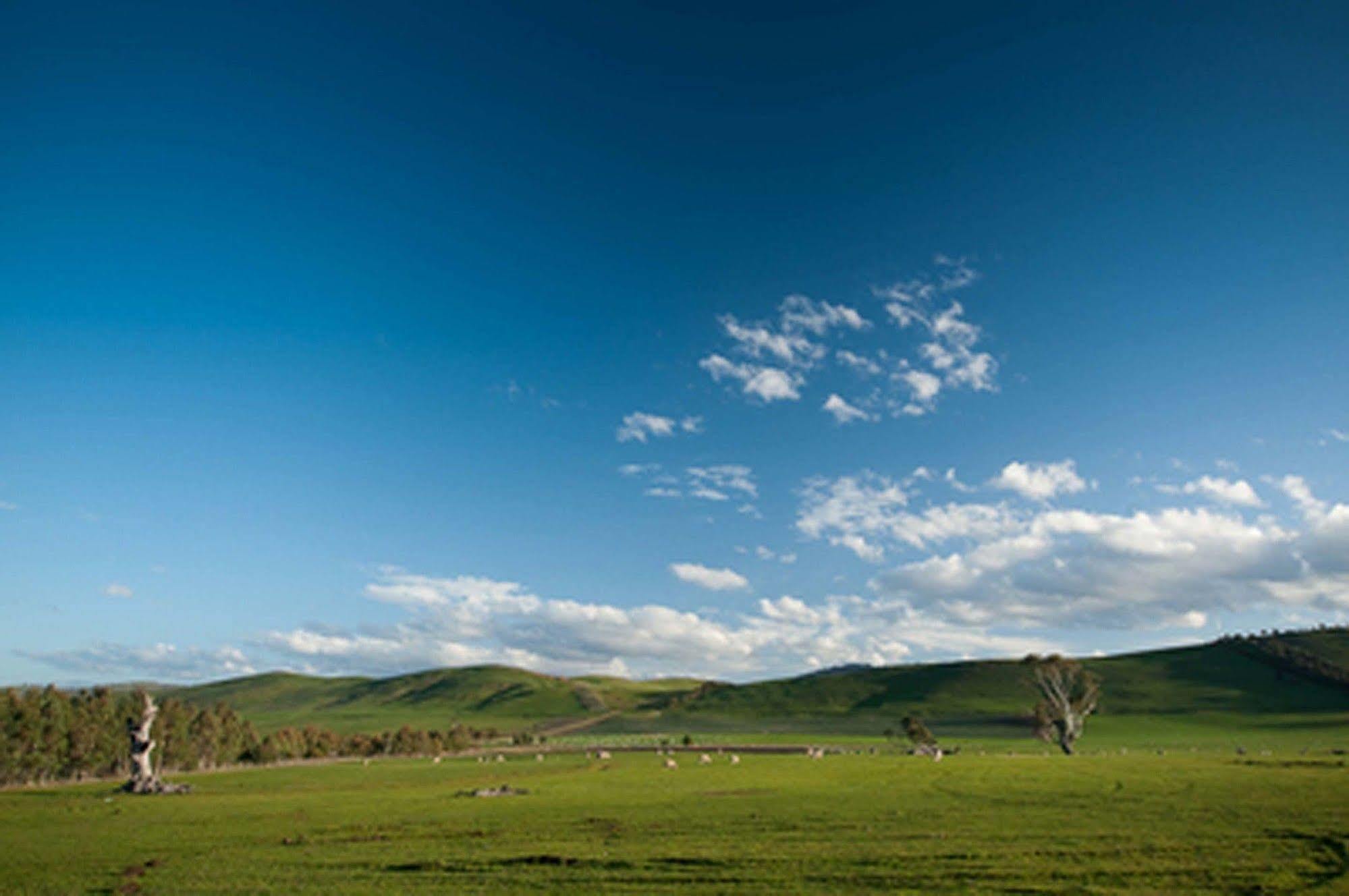 Вілла Curringa Farm Meadowbank Екстер'єр фото